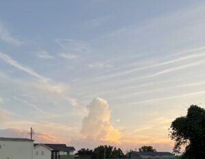 ラピュタ？！　　　　　近藤