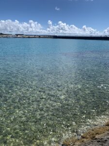 海は広いな大きいな　千葉