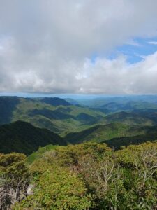 夏の終わり　　小林