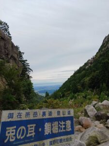 うさぎのみみ　ごつごつしている　　小林