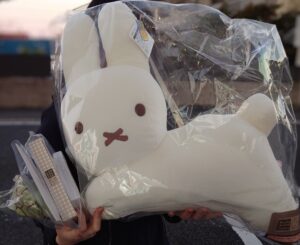 ブルーナアニマルくじ　　　内田