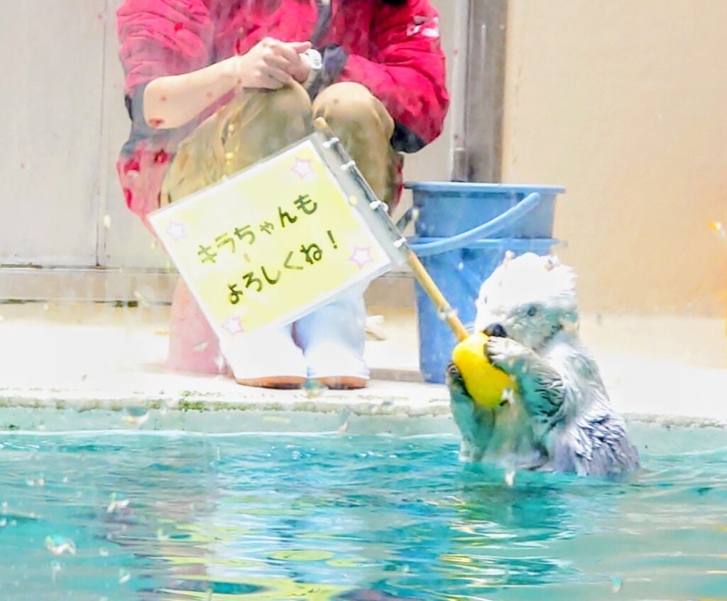鳥羽水族館　　内田